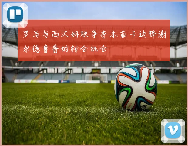 罗马与西汉姆联争夺本菲卡边锋谢尔德鲁普的转会机会